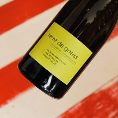 2019 Terre de Gneiss, Muscadet Sèvre et Maine, Vincent Caillé