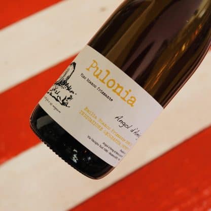 2019 Pulonia, Bianco Frizzante, Angol d'Amig