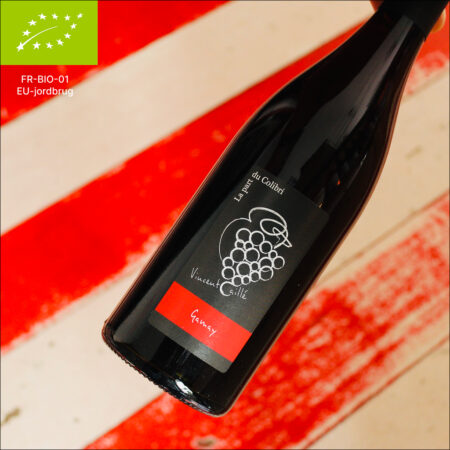 2021 Gamay, Vincent Caillé