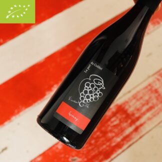 2021 Gamay, Vincent Caillé