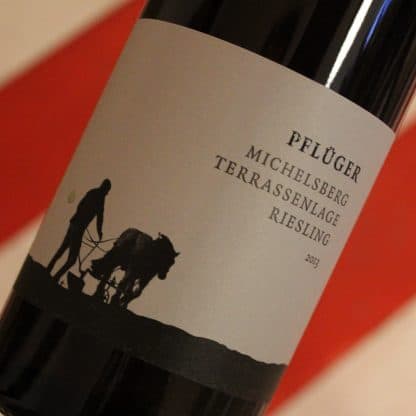 2013 Riesling Michelsberg Terrassenlage, Pflüger