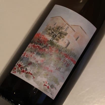 2020 Trebbiano, Pian di  Meta Vecchia
