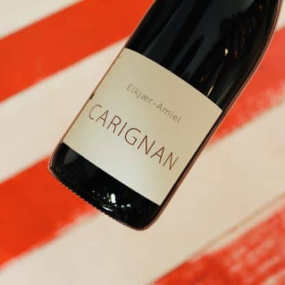 2019 Carignan, Elkjær-Amiel