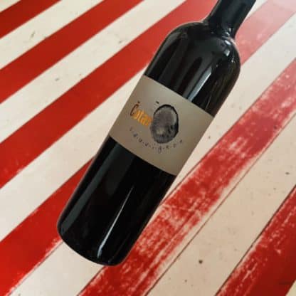 2019 Sauvignon, Vina Cotar, Slovenien