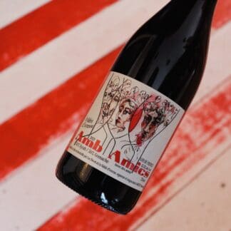 2020 Amb Amics MAGNUM, Debit d'Ivresse