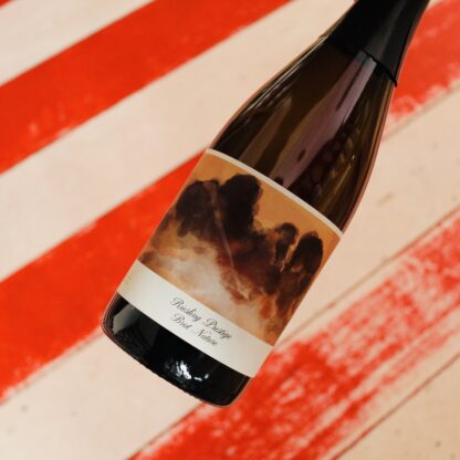 2021 Riesling Goldberg Brut Nature, Rheinhessen, Daniel & Bianka Schmitt