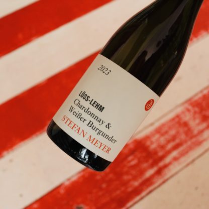2023 Chardonnay/Weissburgunder Löss, Stefan Meyer