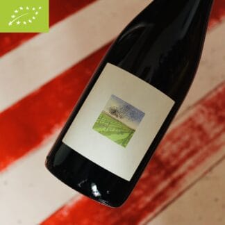 2022 Pet'Nat "Plumy", les Vignes du Fresche