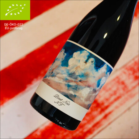 2024 Pinot Noir Nieder-Flörsheimer, Bianka & Daniel Schmitt