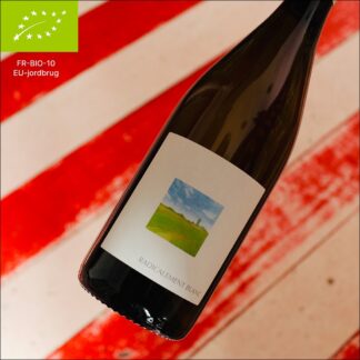 2025 Radicalement Blanc, Anjou, les Vignes du Fresche